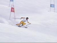 写真:国体代表選手